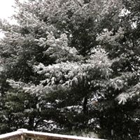 Veronica Gallas's profile image