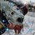 Rachel McCandlish's profile image