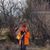 Melissa O'Neil Dabney's profile image