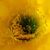 Patti A Guinn's profile image