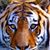 Paula Moyers's profile image