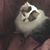 Betty Esparza's profile image