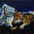 Yelitza Galan's profile image