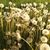 Jill Yanchuk's profile image