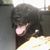Stephanie Gates's profile image