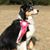 Cinnie Jones's profile image