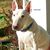 Kathy Garson Stegman's profile image