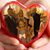 Elaine Bogusz Yager's profile image
