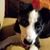 Sheri Johnson's profile image