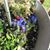 Debra Boyd's profile image