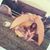 Riley Bender's profile image