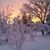 LindaSue Toth Carter's profile image