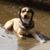 Dee Korzenowski's profile image