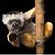 Eliza Walker's profile image