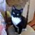 MaeLynne Stanton Dean's profile image