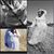 Jasmine Schlafke's profile image