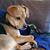 Michelle Davidson Bartee's profile image