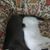 RobertAnnette Delaney Stanfill's profile image