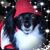 Joyce Nakano-Moore's profile image