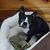 Judy Dosser Messner's profile image