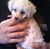 Kevin Kroner's profile image