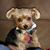 Susie Swiger's profile image