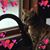 Mary Simons Dinslage's profile image