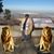 Milcah Baht Moshe's profile image