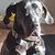 Tabby Coomer-Foster's profile image