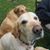 Juleigh Gray's profile image