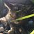 Nicole Bethke Hauck's profile image