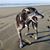 Joe J. Munro's profile image