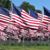 Terrie Warren-Foster Nowland's profile image
