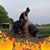 Christine Faul's profile image