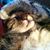 Adria Jocson-Phillips's profile image