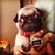 Jasper Da Pug's profile image