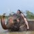 Iris de Vlam's profile image