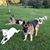 Lisa Warren's profile image