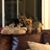 Patricia Elizabeth Gardner's profile image