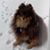 Casey Steinborn Vance's profile image