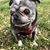 Helen R Dozar's profile image