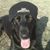 Linda R. Blakely's profile image
