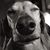 Jota Be's profile image