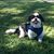 Suzi Starliper's profile image