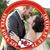 Rebecca Krull's profile image
