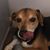 Eileen Torres-Richmann's profile image