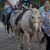 Lillie Wethington's profile image