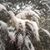 Leanne Kae Bell's profile image