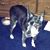 Amanda Chelius Kyles's profile image