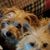 Deb Lofgren's profile image